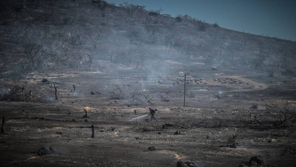 Καμένη έκταση σε πυρόπληκτη περιοχή